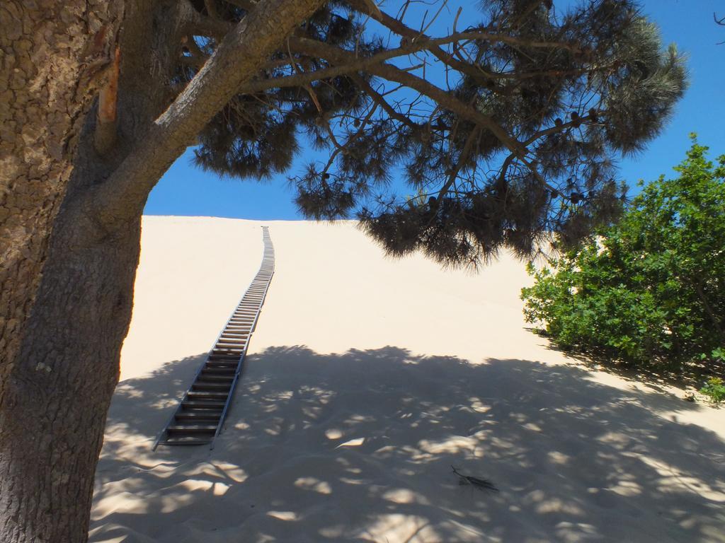 Camping De La Dune "Les Flots Bleus" Pyla-sur-Mer Exterior foto